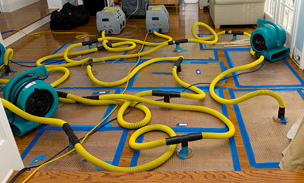 Professional Crawl Space Water Removal technician working in Wellesley Hills, MA